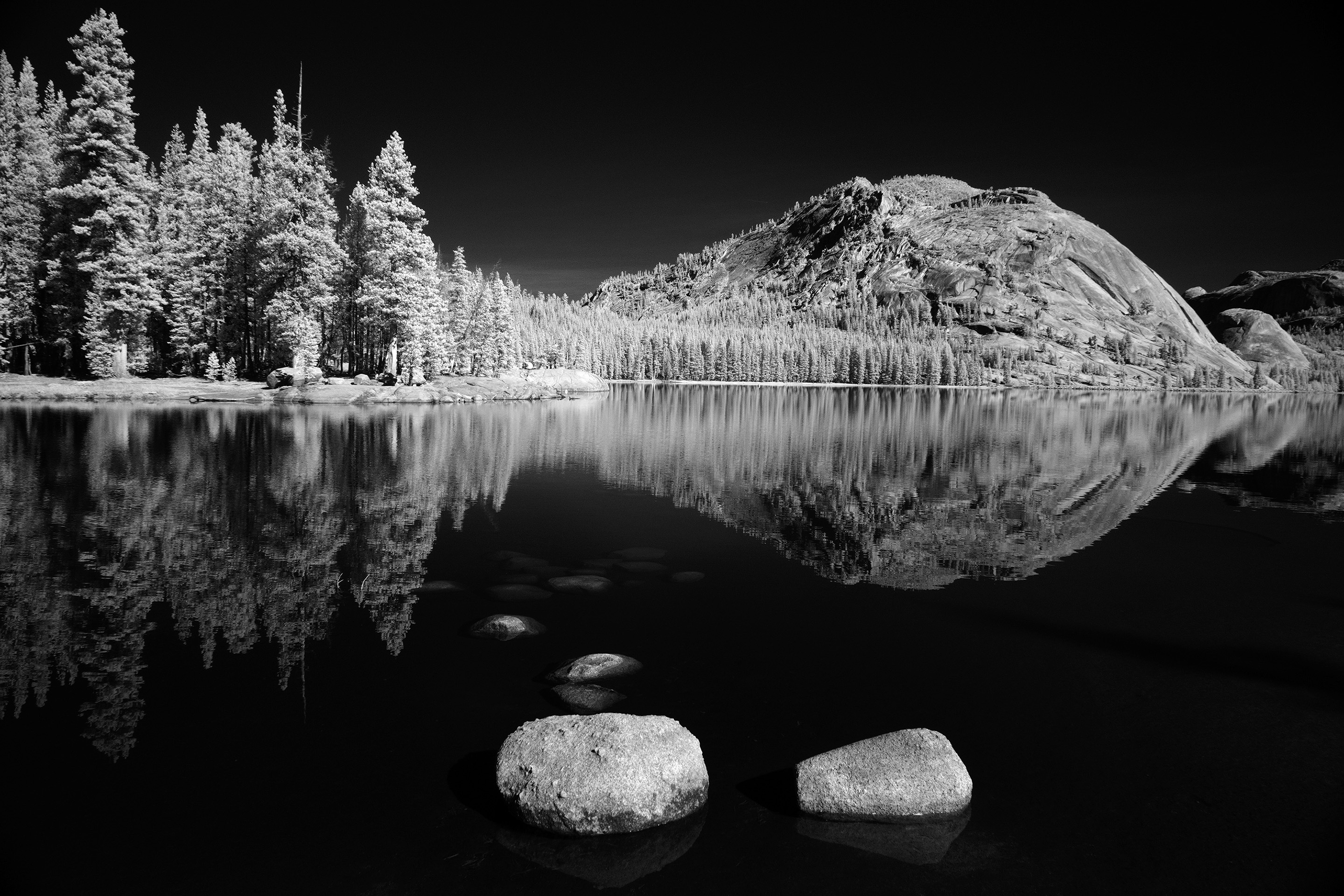 1st PrizeOpen Mono In Class 2 By Mark Houlday For Mirror Of Silence APR-2026.jpg
